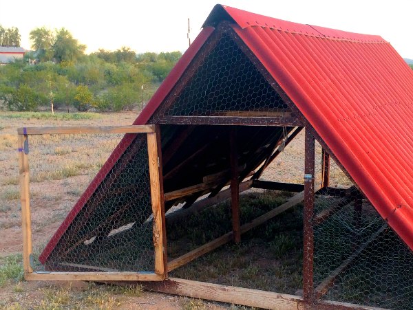7 Things To Know Before Building A Chicken Coop