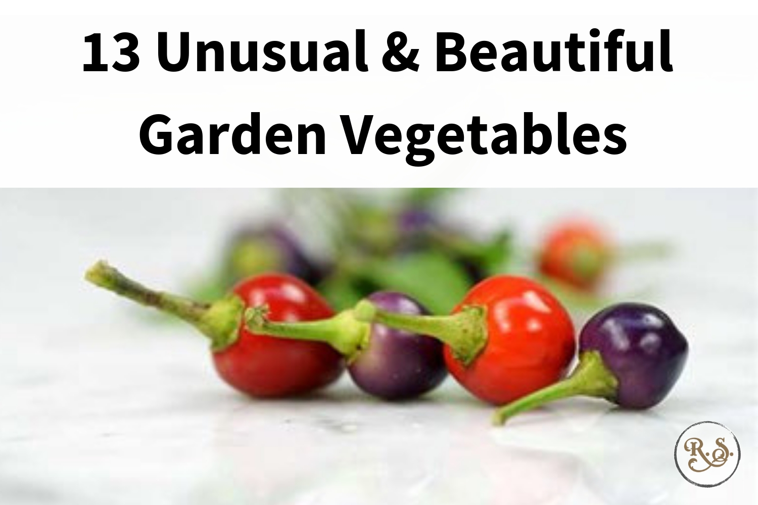 unusual garden vegetables pic