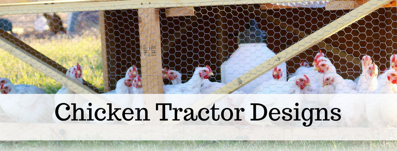 Here's your free, online handbook for raising chickens. A guide to saving money, growing feed, health, coops, tractors, frugal ideas and more!