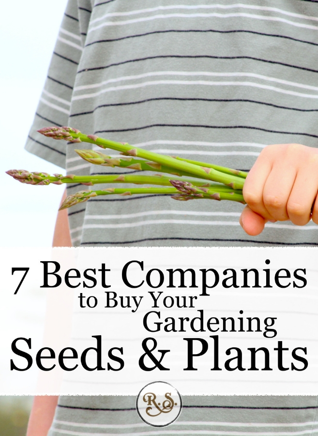 Garden seeds and plants are the most basic and important part of backyard gardening. Check out my seven favorite places to look for seeds, trees, and more. #gardening #seeds