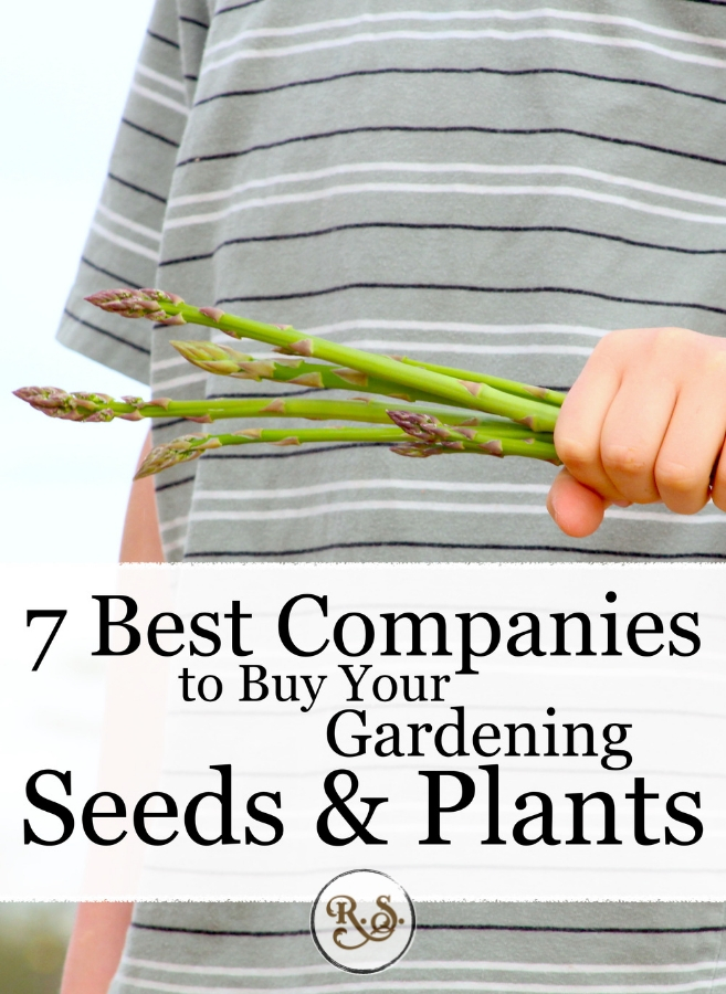 Garden Seeds And Plants The 7 Best Companies To Get Yours