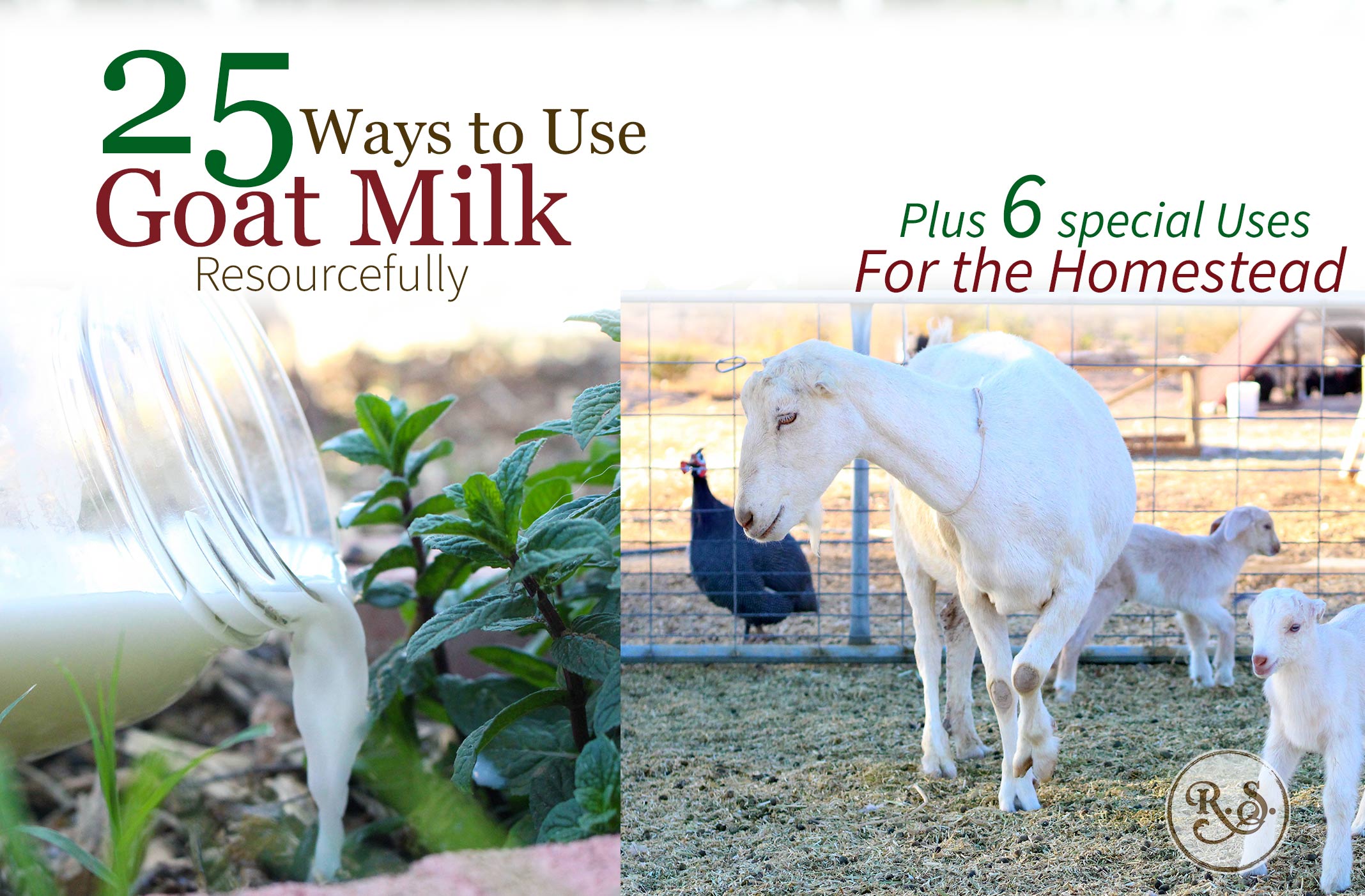 25 Ways to Use Goat Milk