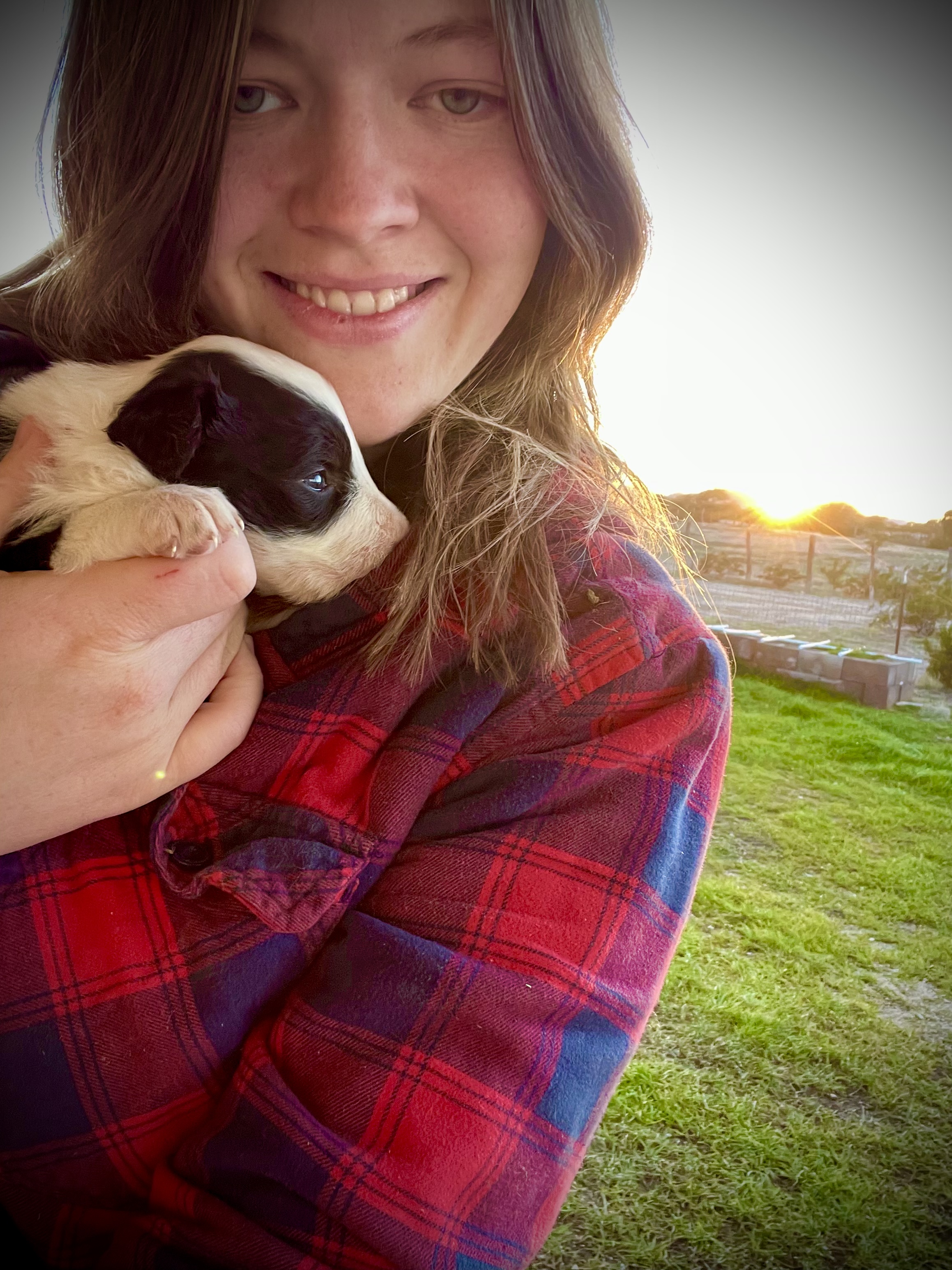 julia holding tiny puppy