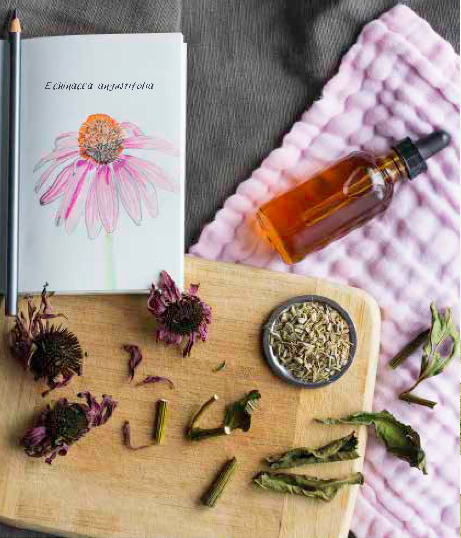 Herbal infusions for beginners! Find lots of nourishing recipes you can make to boost your health. Start learning how to make your own today.