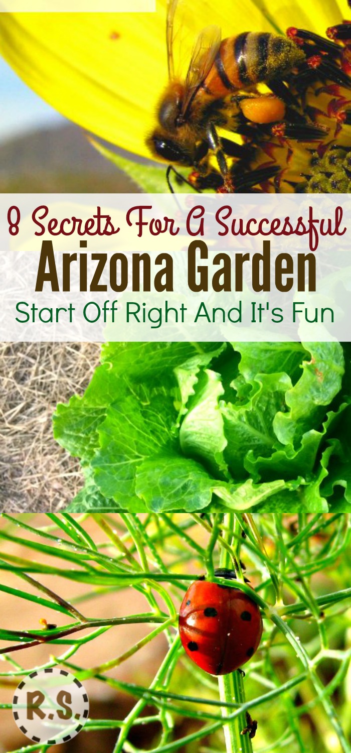 How do you garden in the scorching hot desert? What is the best way to water a desert garden? Arizona gardening may have its challenges... But you can get them right now and have a stunning garden!