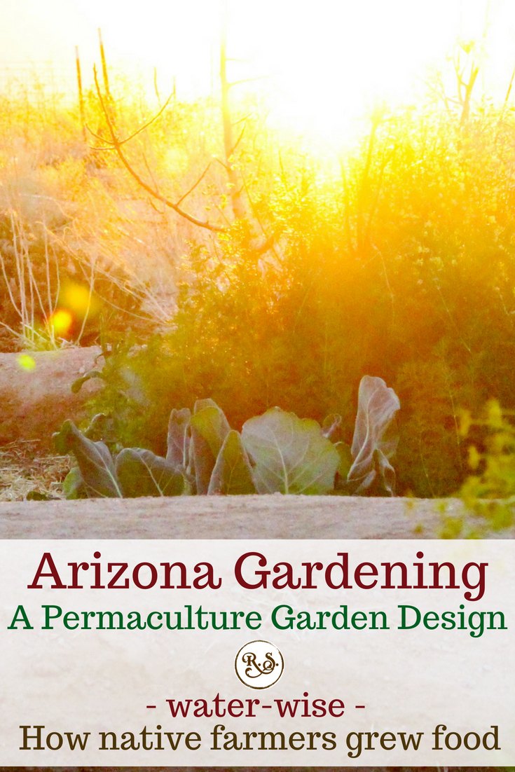 Arizona gardening calls for a permaculture garden design. Vegetable gardening in the desert can be hard, but with the right methods, we live in a great state!