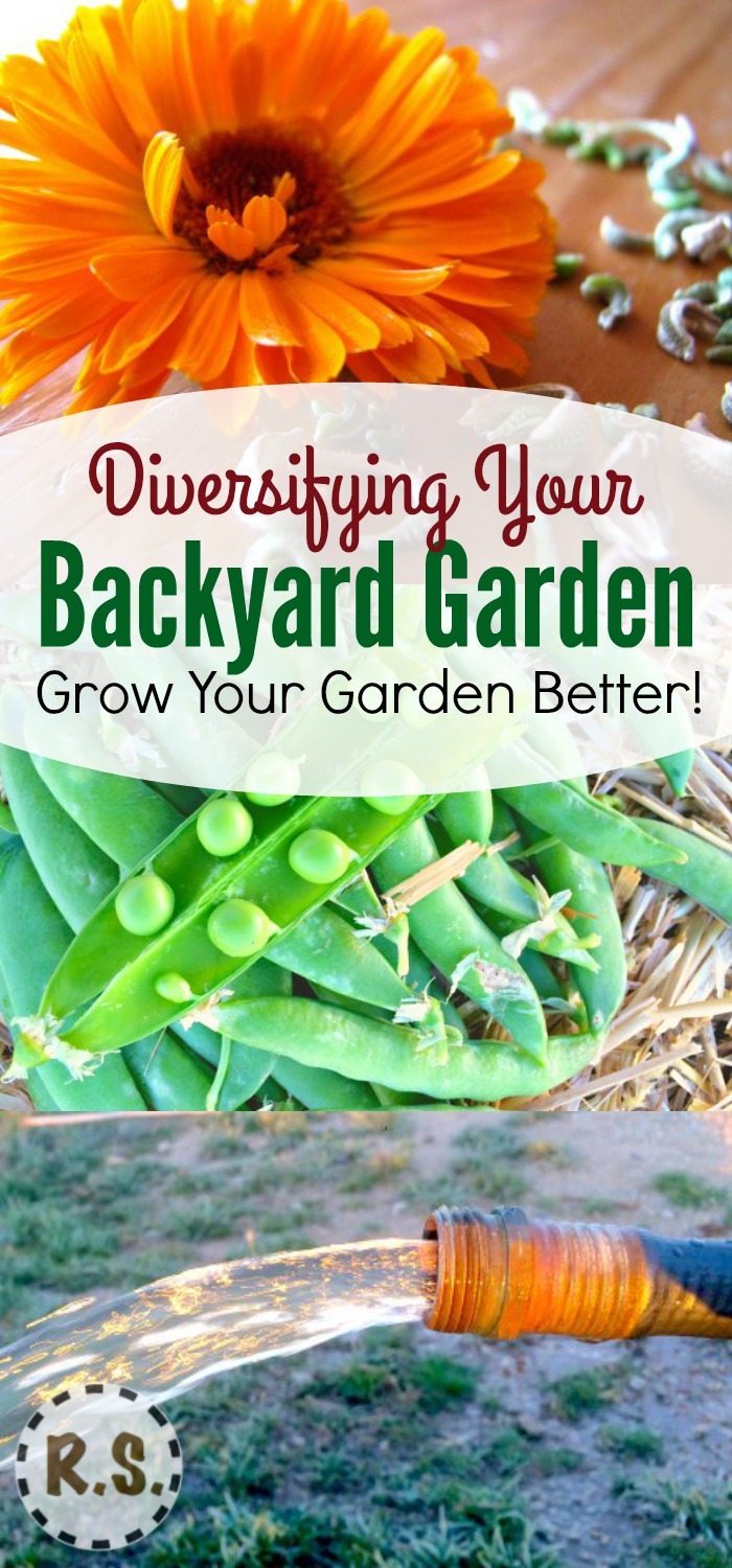 I like gardening... But would you believe it if I told you that when I first started I thought I would hate it! :) Learn about the important different parts of the backyard garden.