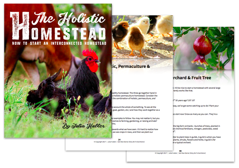 A Homesteading book for beginners and advanced alike! Grow your own sustainable, permaculture type of homestead that considers every aspect, with a plan and goal for the future. Soli Deo Gloria!