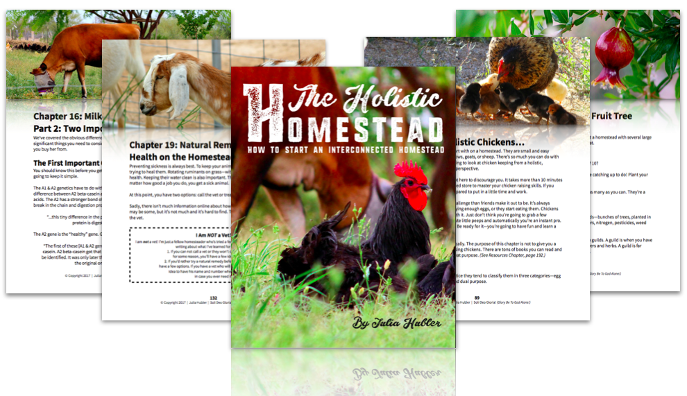 A Homesteading book for beginners and advanced alike! Grow your own sustainable, permaculture type of homestead that considers every aspect, with a plan and goal for the future. Soli Deo Gloria!