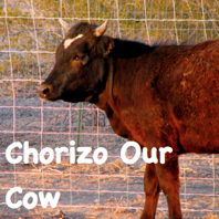 A natural eye infection remedy for your cow, rabbit, goat or sheep. It's a simple, easy and a very effective homestead remedy that I tried on our animals a while back. I've had great results!