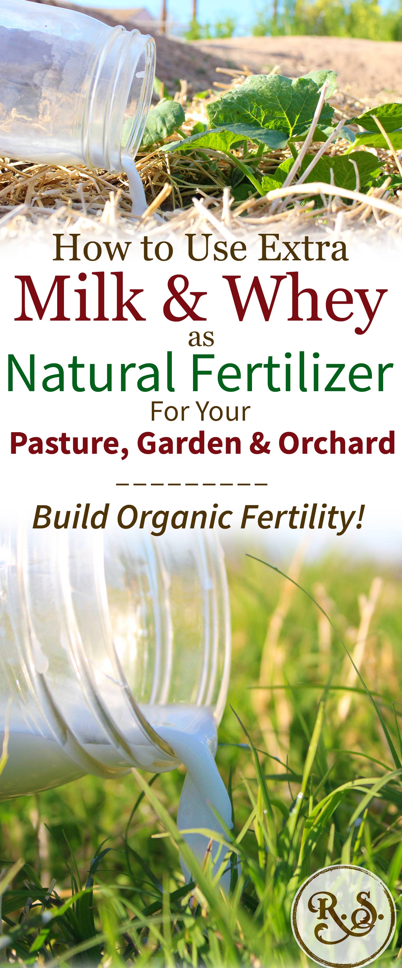 Extra milk or whey is an amazing fertilizer to build Organic fertility! In your orchard, pasture and garden it is a completely natural, holistic and Organic option.