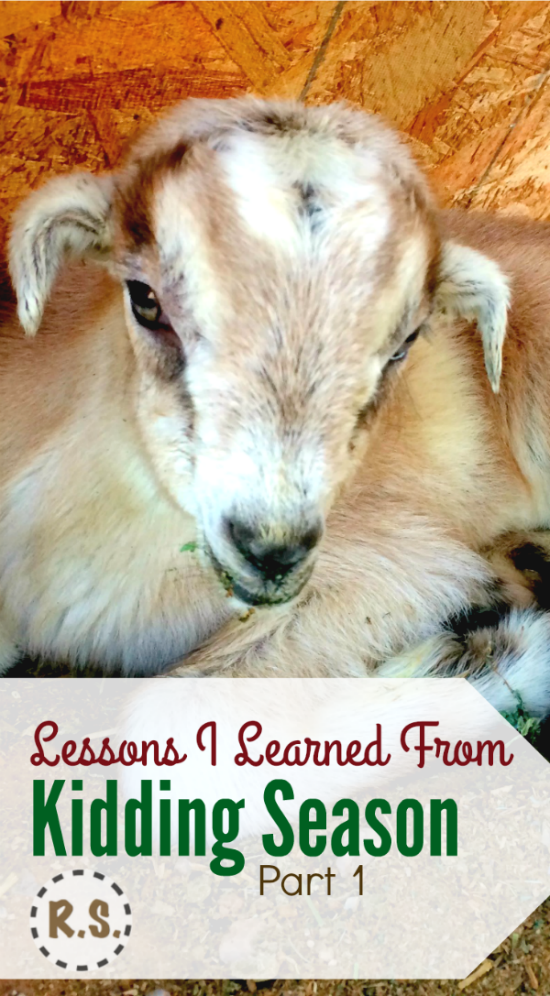 Our first goat kidding season was full of new challenges. I did lots of reading up on taking care of baby goats...and the kidding process. I was ready! But something I wasn’t expecting happened.