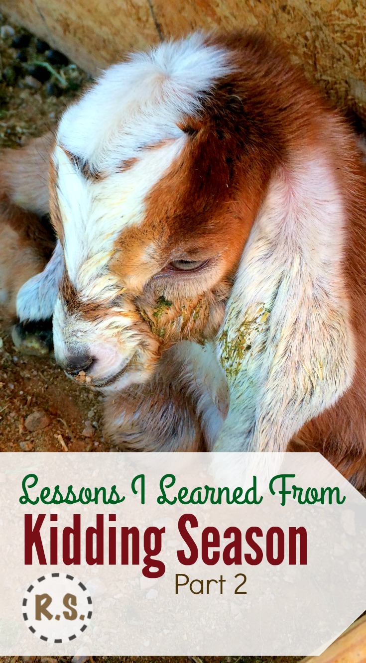 Our first goat kidding season was full of new challenges. I did lots of reading up on taking care of baby goats...and the kidding process. I was ready! But something I wasn’t expecting happened.