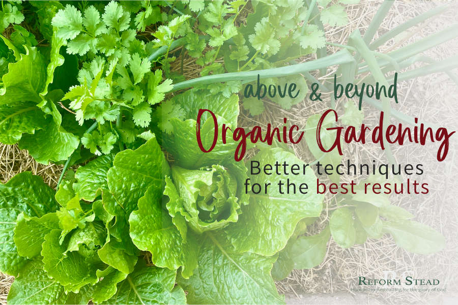 above & beyond organic gardening