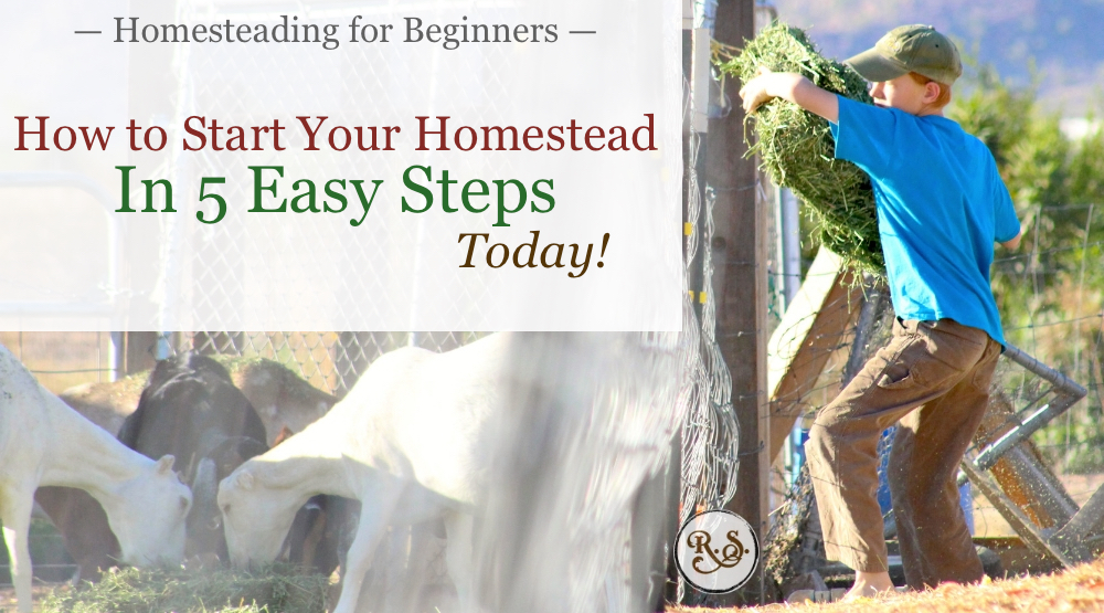 Backyard homesteading is a dream for many. In this article we will learn the 5 steps you need to start your homestead today. #homesteadingforbeginners #homesteading #howtostart