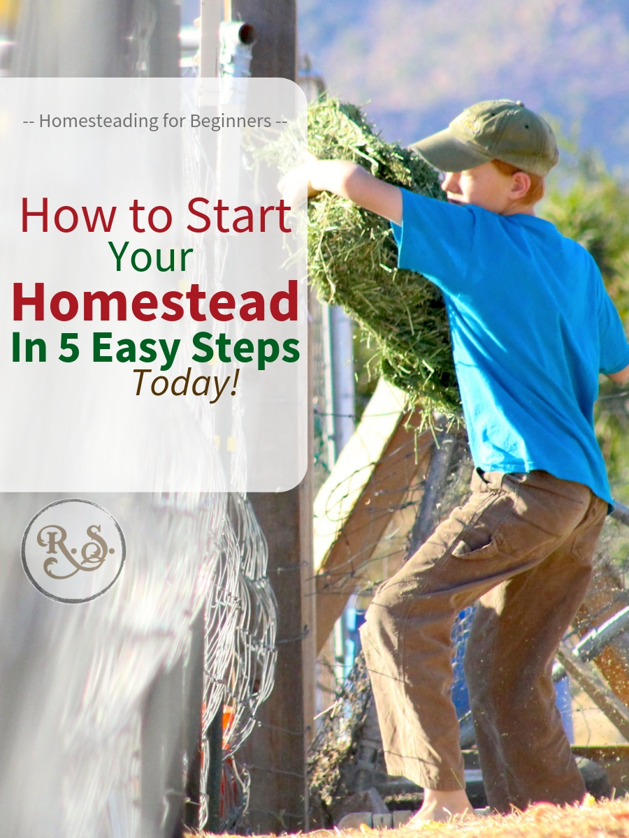 Backyard homesteading is a dream for many. In this article we will learn the 5 steps you need to start your homestead today. #homesteadingforbeginners #homesteading #howtostart