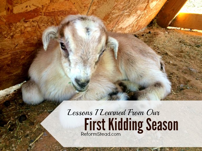 Our first goat kidding season was full of new challenges. I did lots of reading up on taking care of baby goats...and the kidding process. I was ready! But something I wasn’t expecting happened.