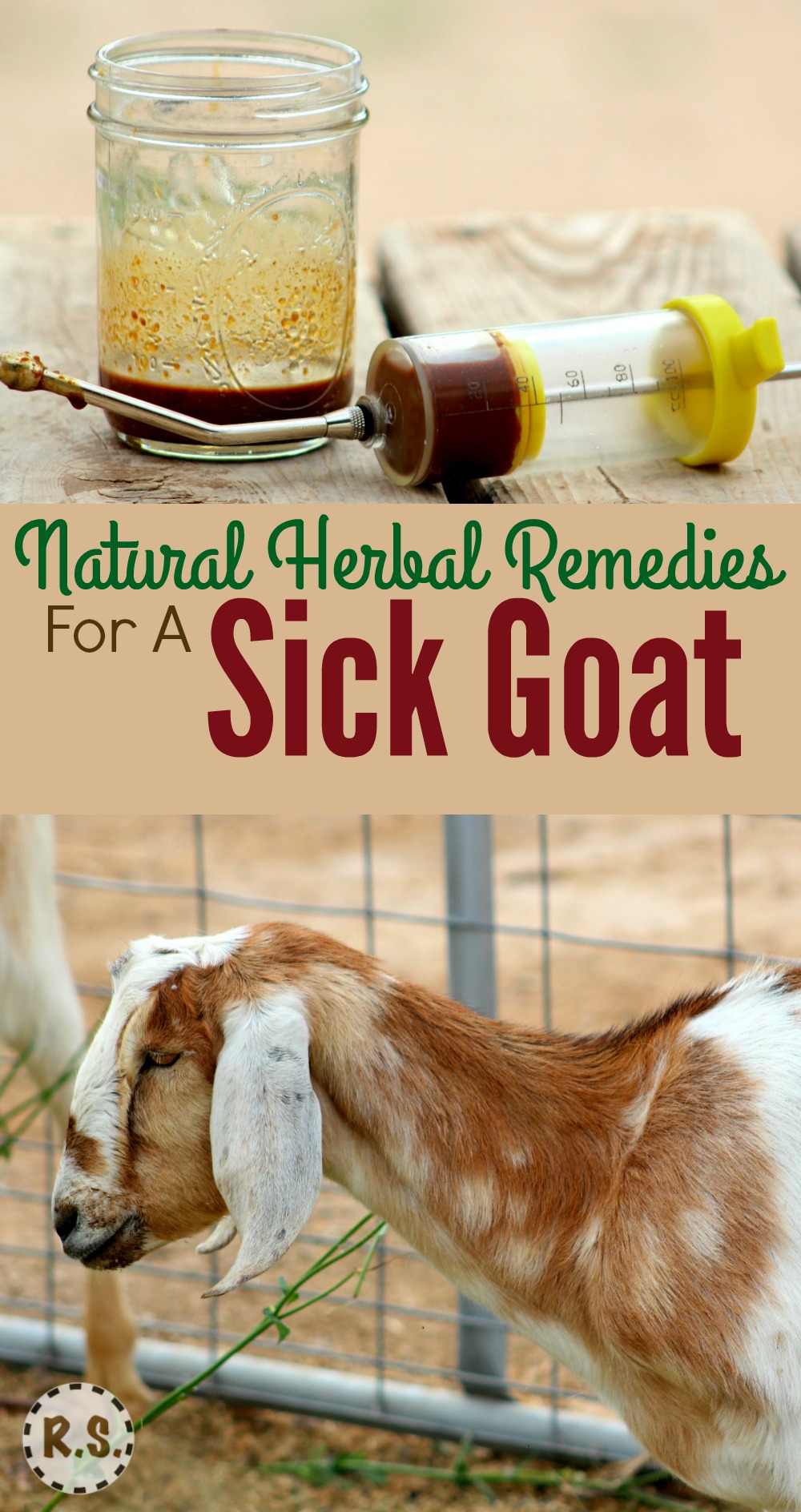 Learn how to treat a sick goat with this natural remedy. It is easy to make at home. When your goat is sick, try this DIY herbal recipe for natural goat care.