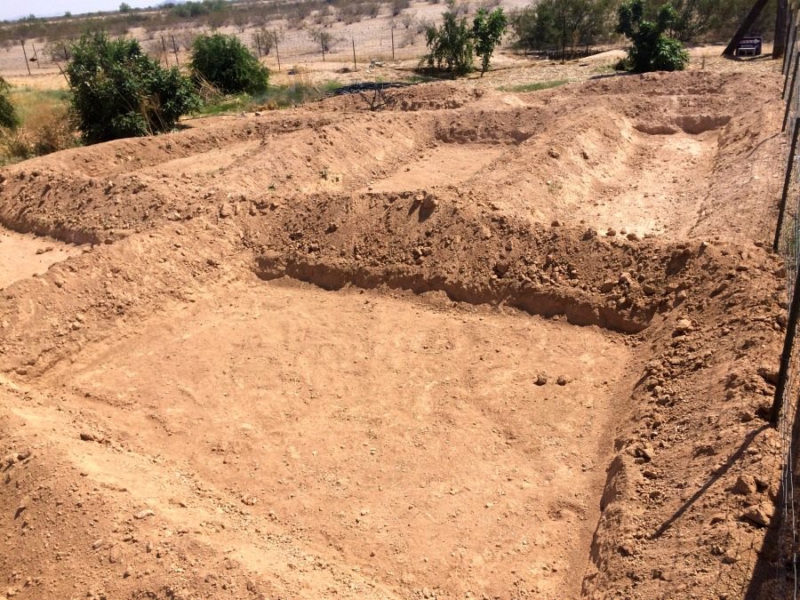 Arizona gardening calls for a permaculture garden design. Vegetable gardening in the desert can be hard, but with the right methods, we live in a great state!