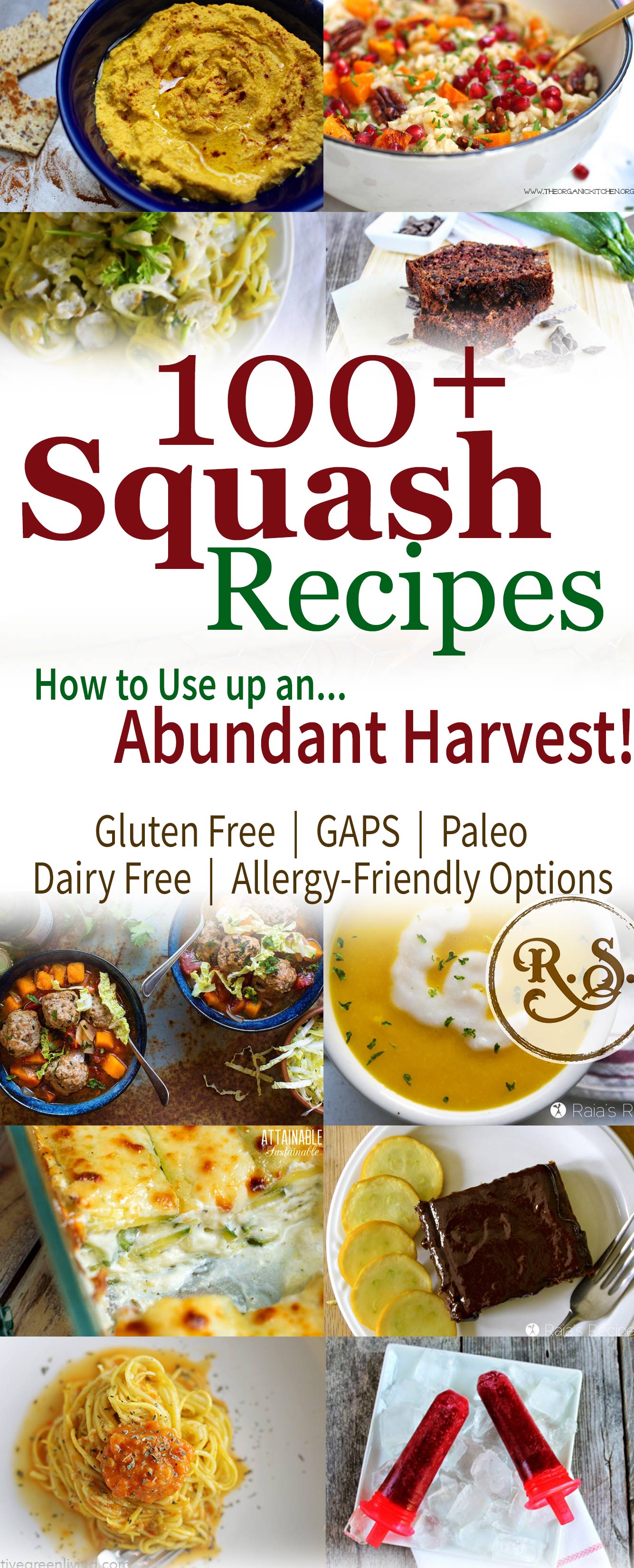 Find 100+ squash recipes to use up an abundant squash harvest from your garden. When squash is in season you can’t have too many recipes. Find the right easy squash recipe for you.