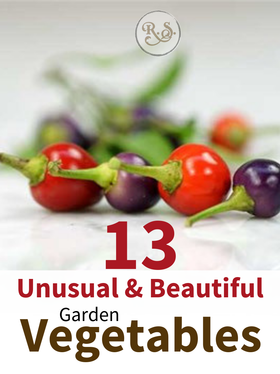 Unusual garden vegetables are a great way to have produce coming from your garden with character and unique variety. #unusualvegetables #togrow #gardening