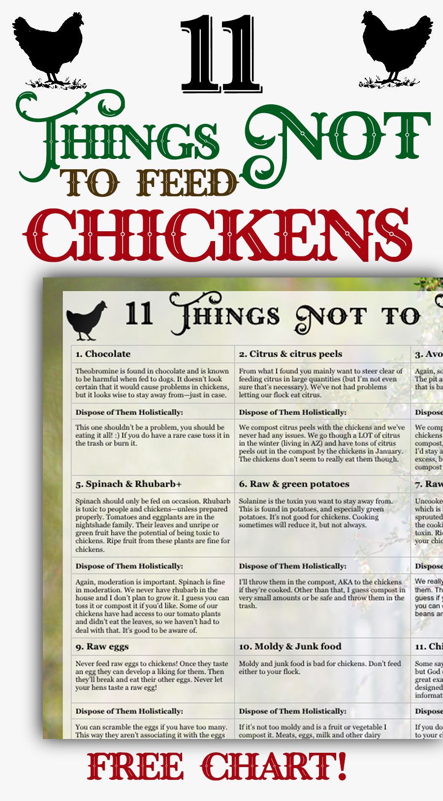 Learn which foods NOT to feed to your chickens with this free downloadable chart! Feeding and raising backyard chickens is easy, but you need to know which foods NOT to feed chickens.