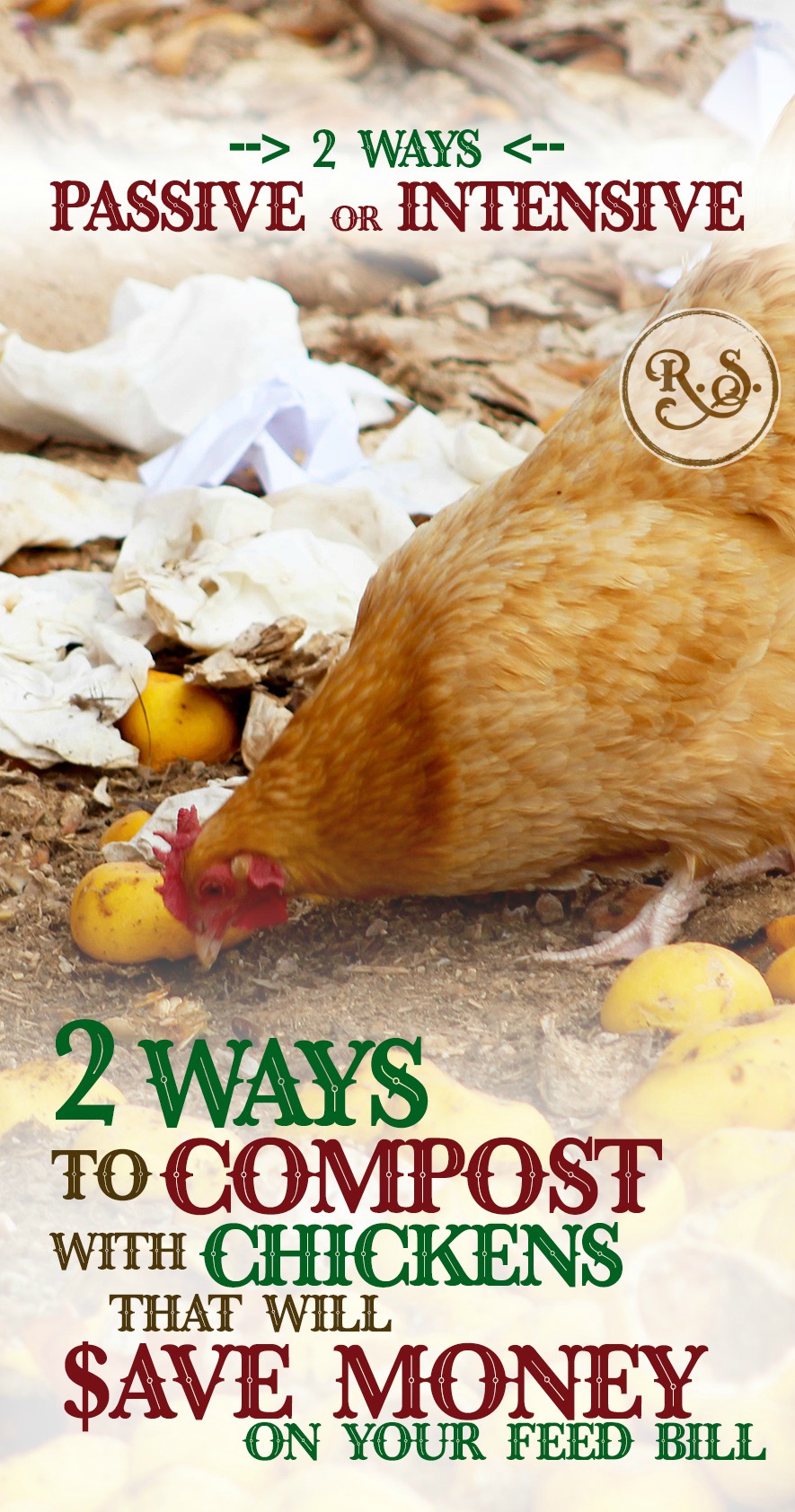 Beginner & advanced chicken raisers can cut their feed bill drastically when they start composting. Make feeding those chickens more sustainable for your homestead.