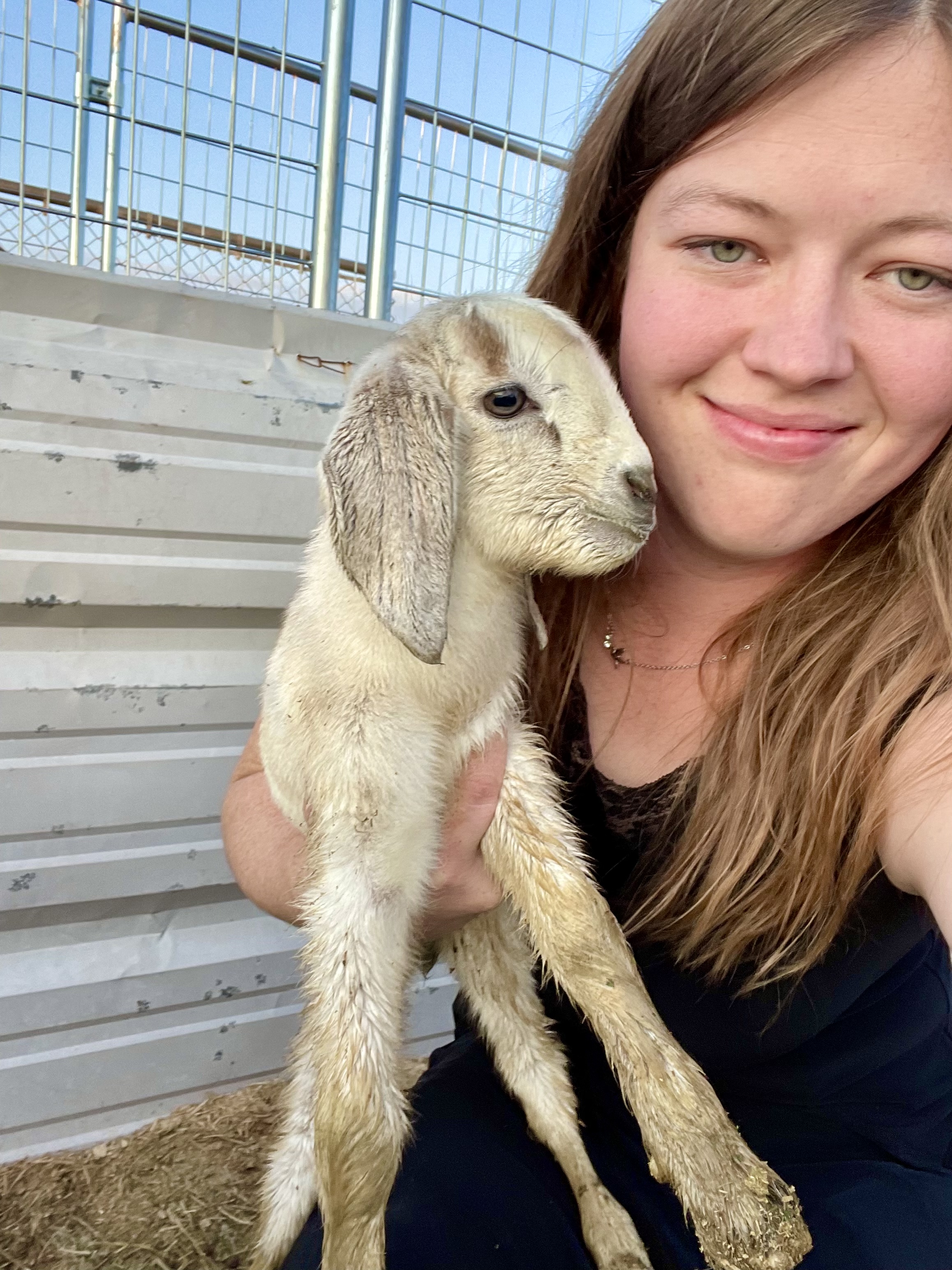 julia holding baby goat