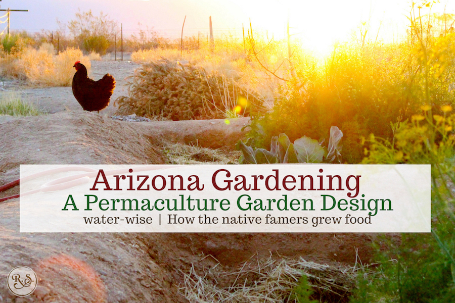 Arizona gardening calls for a permaculture garden design. Vegetable gardening in the desert can be hard, but with the right methods, we live in a great state!