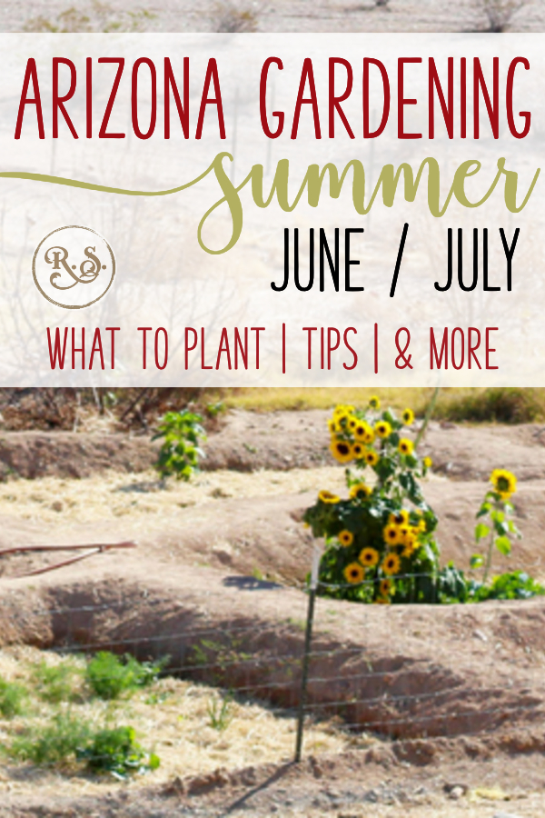Desert gardening in the summers is a challenge. Arizona's desert is not inviting of lush green veggies. Here's what to do and plant in June and July all of you zone 9, low-desert gardeners.