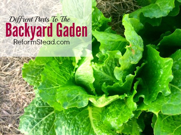 I like gardening... But would you believe it if I told you that when I first started I thought I would hate it! :) Learn about the important different parts of the backyard garden.