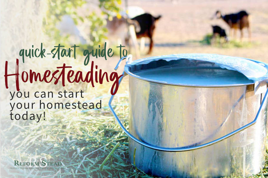 Start backyard homesteading with this quick-start guide for beginners & beyond. Turn your homestead dreams into reality! #homesteadingforbeginners #homesteading #permaculture #sustainable
