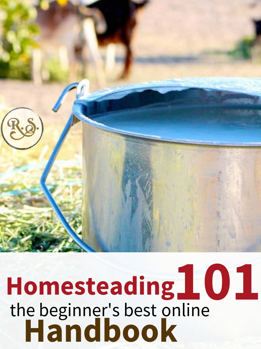 Start backyard homesteading with this quick-start guide for beginners & beyond. Turn your homestead dreams into reality! #homesteadingforbeginners #homesteading #permaculture #sustainable
