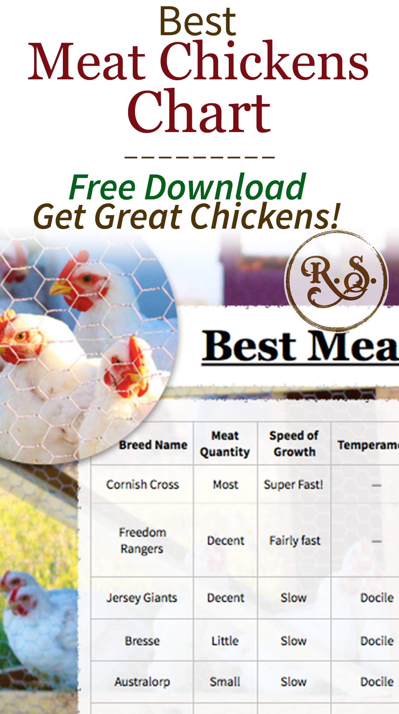 Get your best meat chickens chart! 12 meat chicken breeds which are great for raising on your homestead. Heritage and cross-bred broilers are compared. An instant download you can print out now.