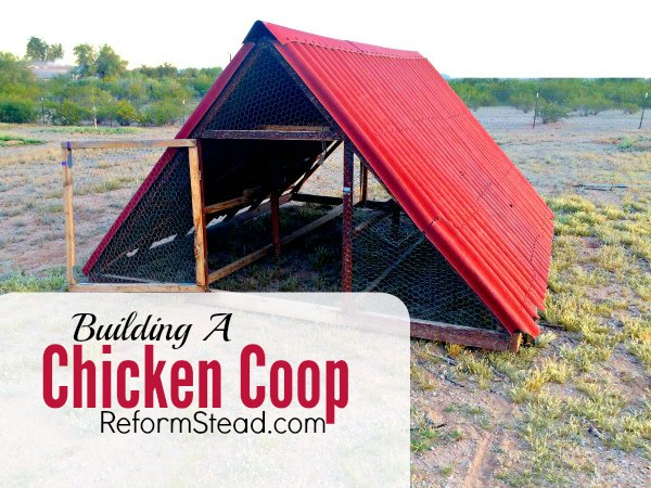 What chicken coop design are you going to use for your coop? You need to know what is needed in the coop...then with a few guidelines you can get started.
