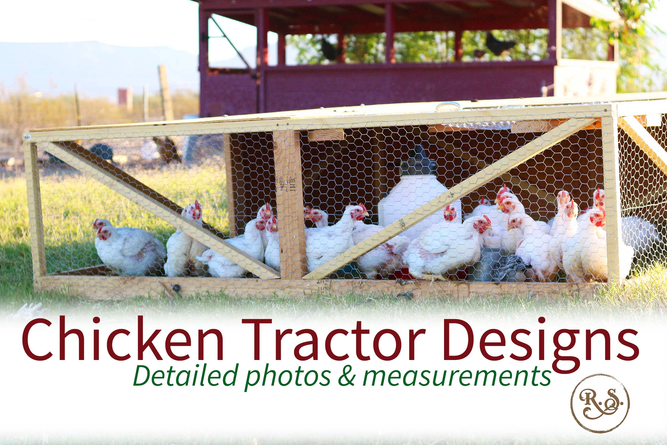 Chicken tractor designs for your meat chickens. Free Dimensions (DIY Plans) with wheels for your broilers moveable and portable coop. For free-range, pastured chickens on grass. Easy to make.