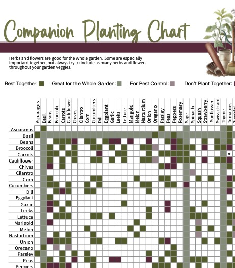companion planting chart cropped
