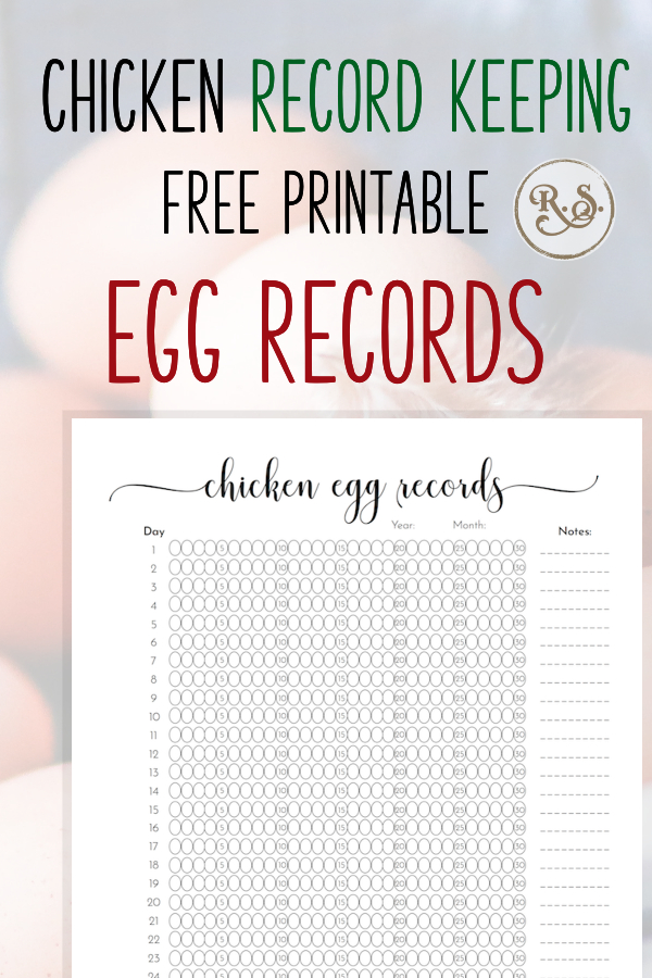 Start your poultry record keeping templates with this egg record sheet. Keep track of how many eggs your chickens are laying with this cute printable cheat-sheet. #backyardchickens #chickens #eggs