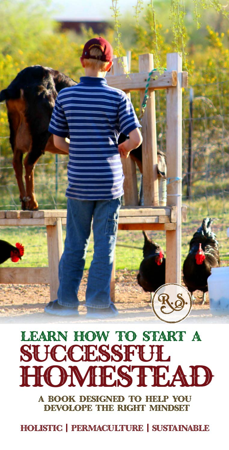 A Homesteading book for beginners and advanced alike! Grow your own sustainable, permaculture type of homestead that considers every aspect, with a plan and goal for the future. Soli Deo Gloria!