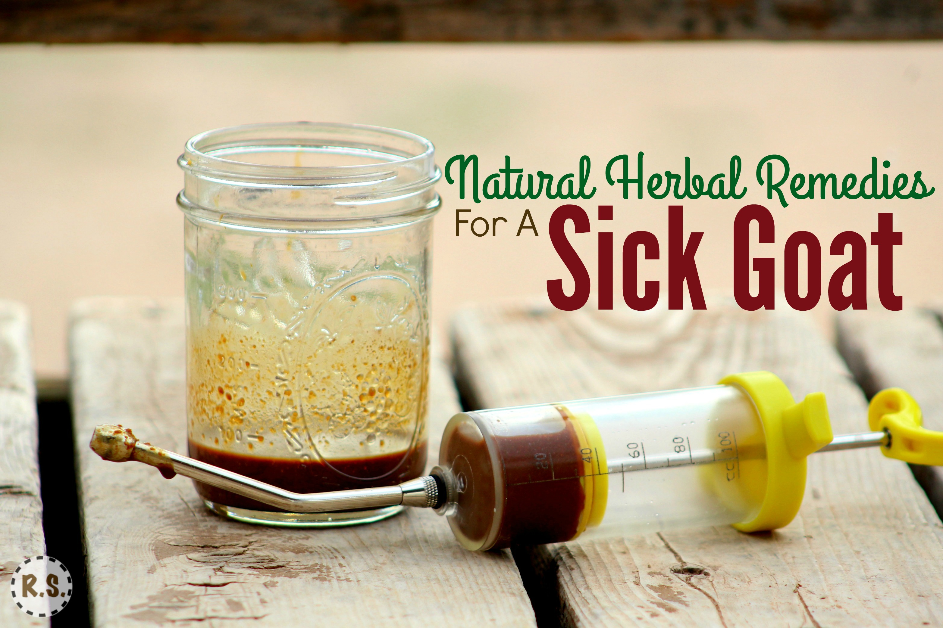 Learn how to treat a sick goat with this natural remedy. It is easy to make at home. When your goat is sick, try this DIY herbal recipe for natural goat care.