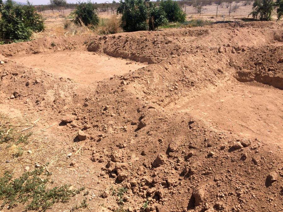 Arizona gardening calls for a permaculture garden design. Vegetable gardening in the desert can be hard, but with the right methods, we live in a great state!