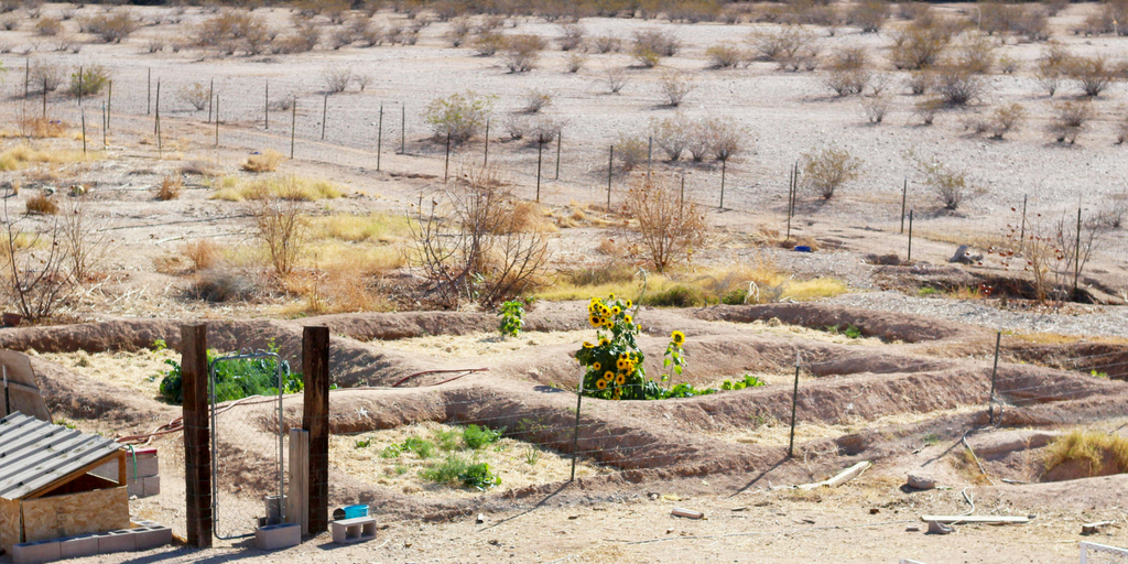 Arizona gardening calls for a permaculture garden design. Vegetable gardening in the desert can be hard, but with the right methods, we live in a great state!