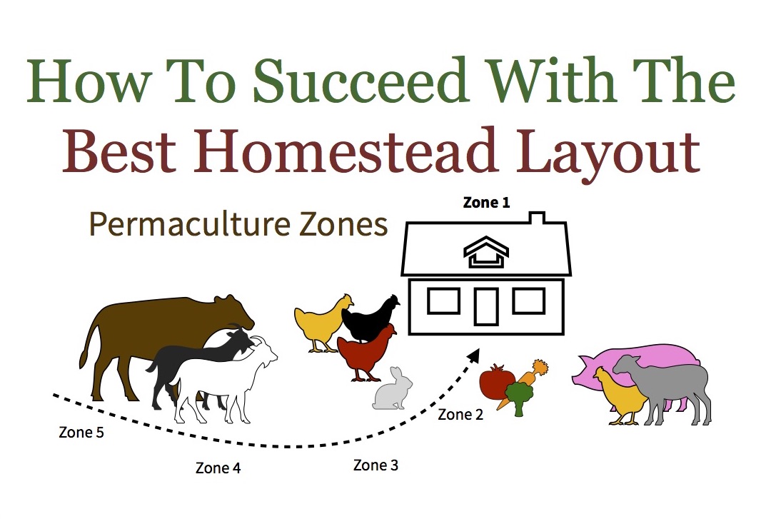 Backyard permaculture zones are key to a successful homestead layout. Understanding and using zones is critical for a sustainable lasting design.