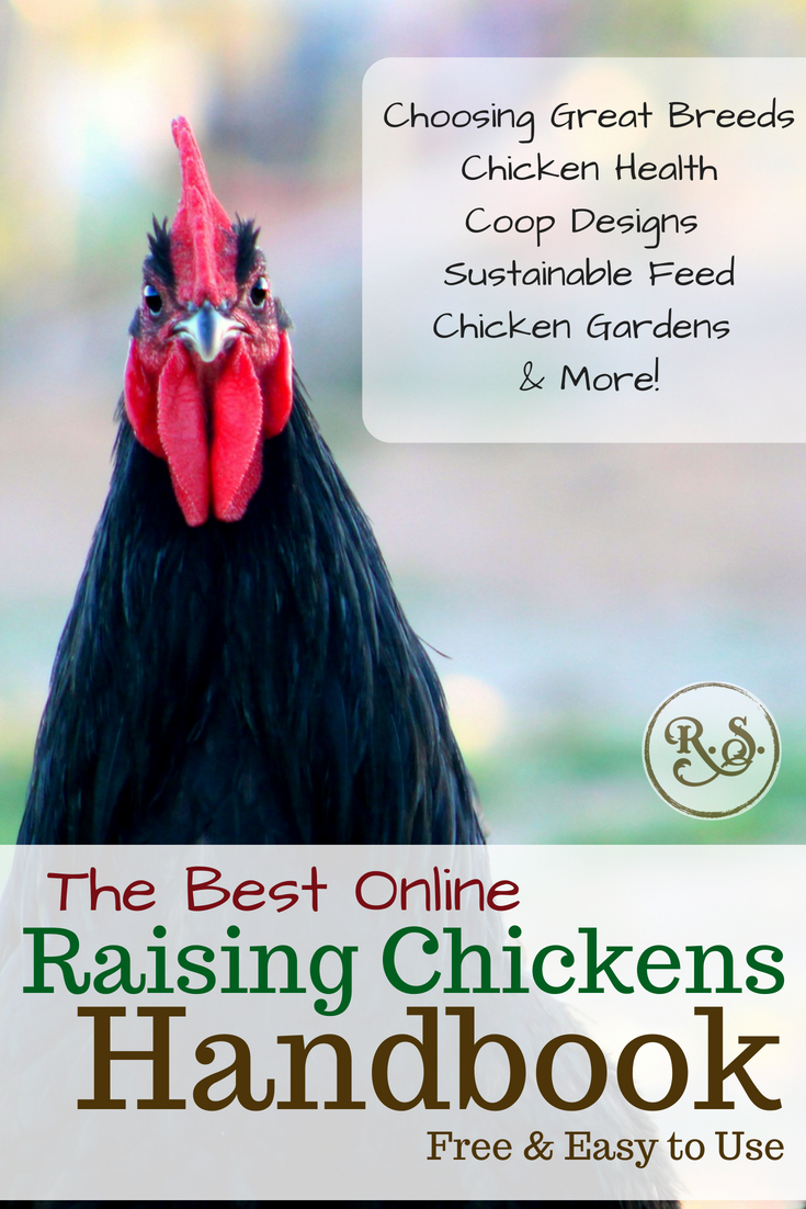 Here's your free, online handbook for raising chickens. A guide to saving money, growing feed, health, coops, tractors, frugal ideas and more!