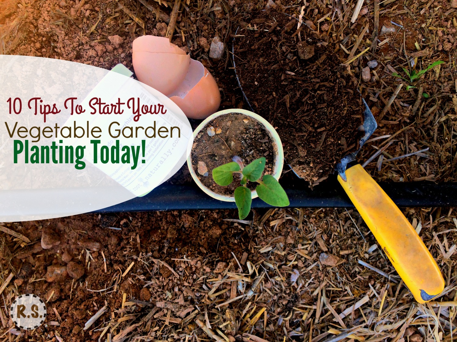 Vegetable Garden Planting 1